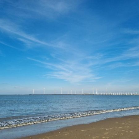 Ruime Vrijstaande Vakantiewoning Aan Veerse Meer, 6 Persoons Wolphaartsdijk Exterior foto