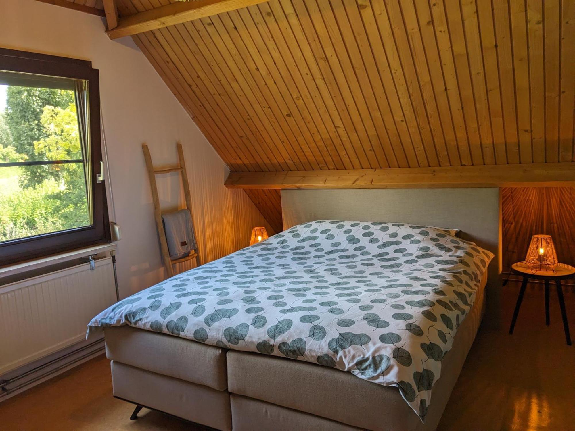 Ruime Vrijstaande Vakantiewoning Aan Veerse Meer, 6 Persoons Wolphaartsdijk Exterior foto